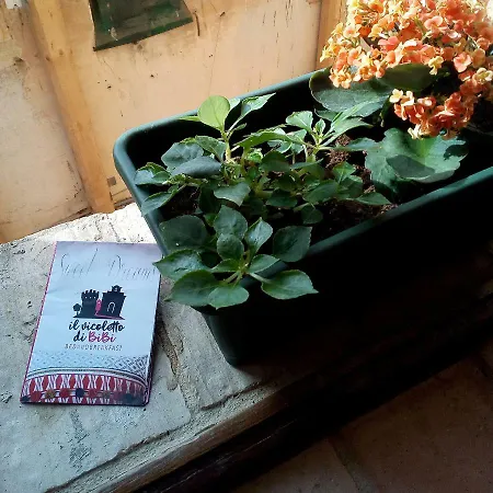Il Vicoletto Bed and Breakfast