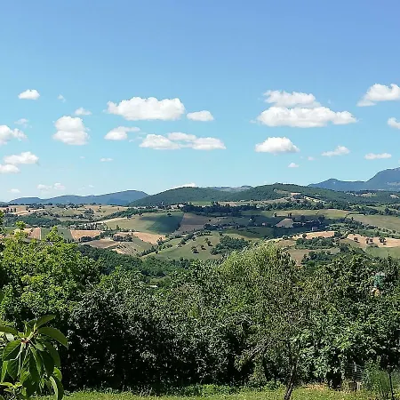 Il Vicoletto